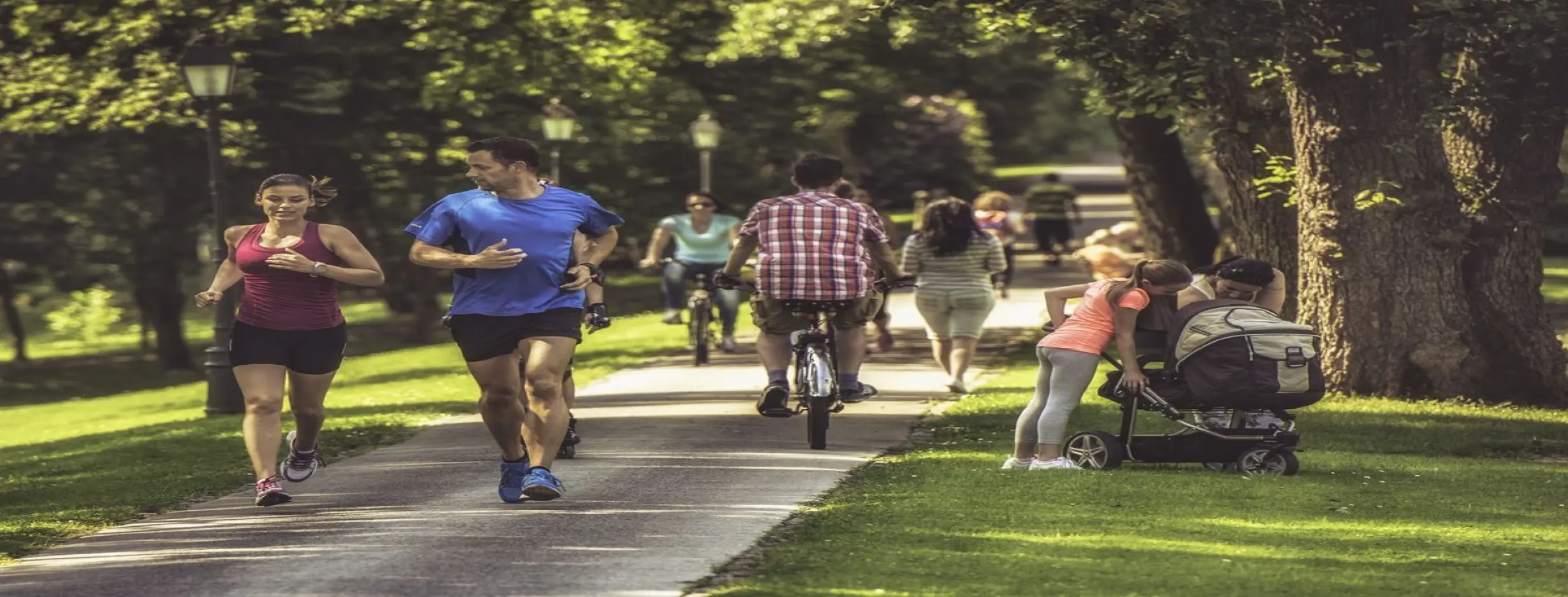 Image for Accessible Lifestyle